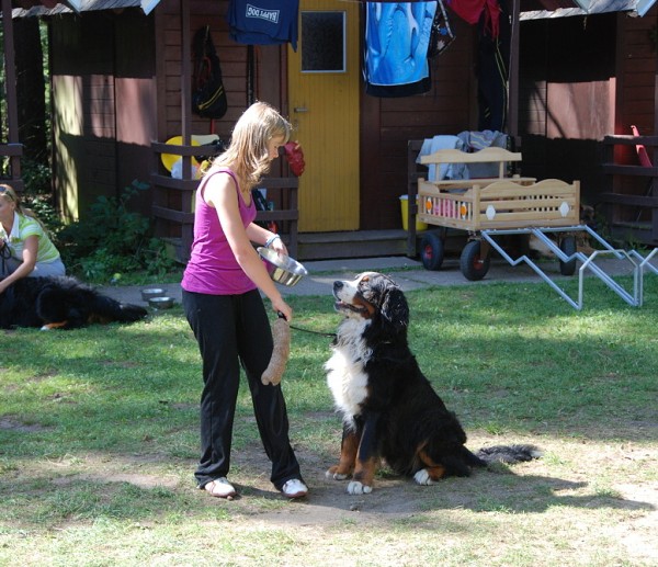 LVT 2008 - momentky z táborového života