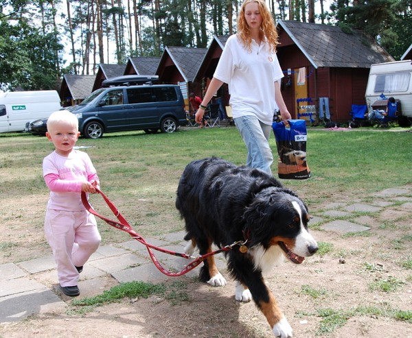 LVT 2008 - momentky z táborového života