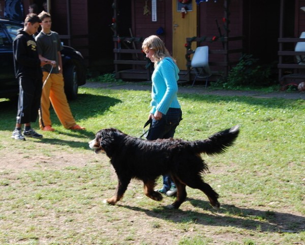 LVT 2008 - momentky z táborového života