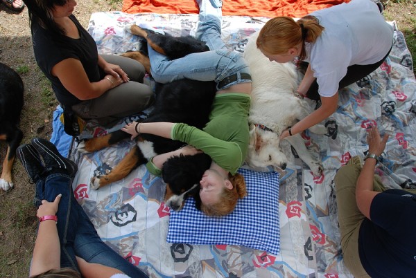 LVT 2008 - momentky z táborového života