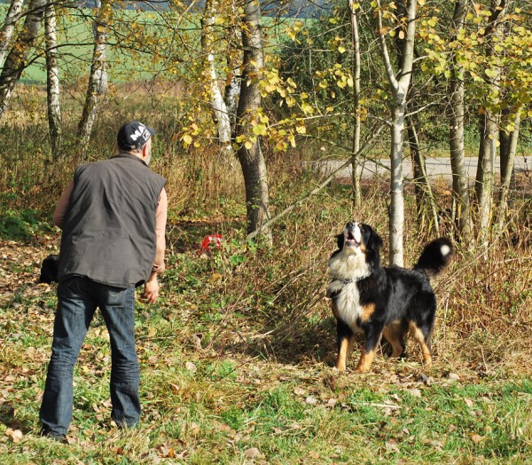 Podzim. víkend - neděle 26. 10. 2008