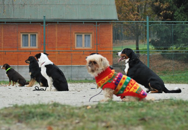 Podzim. víkend - pondělí 27. 10. 2008