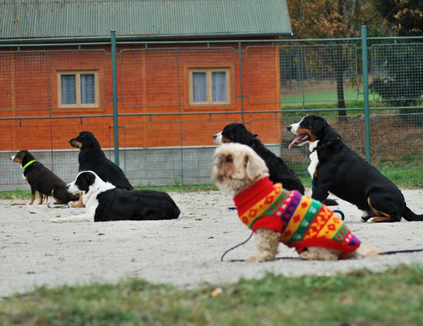 Podzim. víkend - pondělí 27. 10. 2008