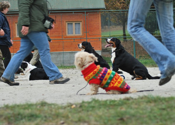 Podzim. víkend - pondělí 27. 10. 2008