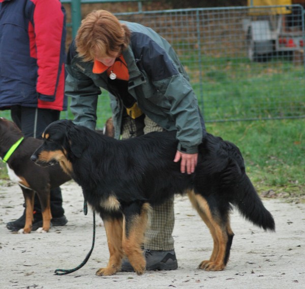 Podzim. víkend - pondělí 27. 10. 2008
