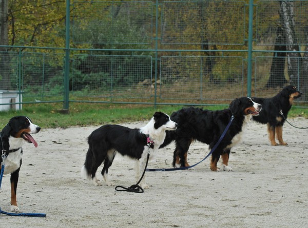 Podzim. víkend - pondělí 27. 10. 2008