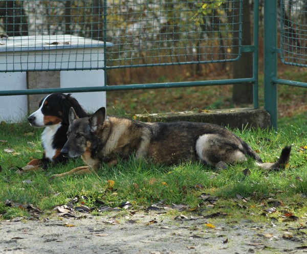 Podzim. víkend - pondělí 27. 10. 2008