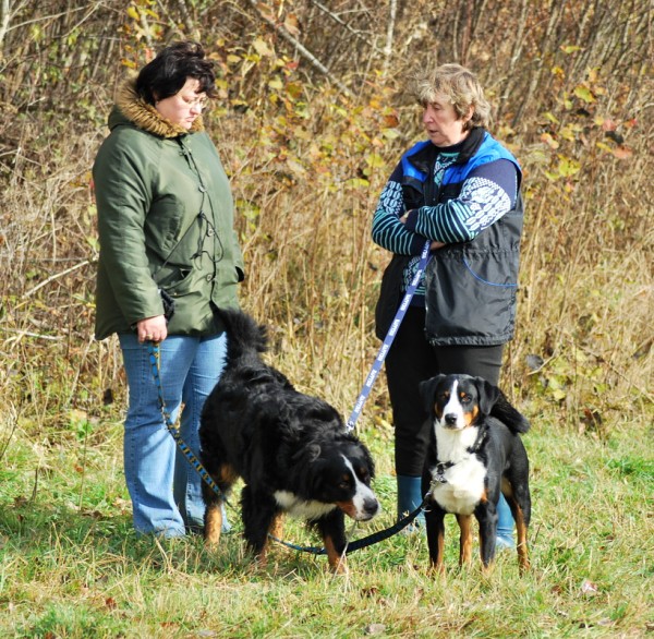 Podzim. víkend - pondělí 27. 10. 2008