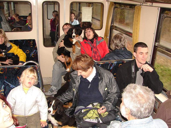 Podzim. víkend - pondělí 27. 10. 2008