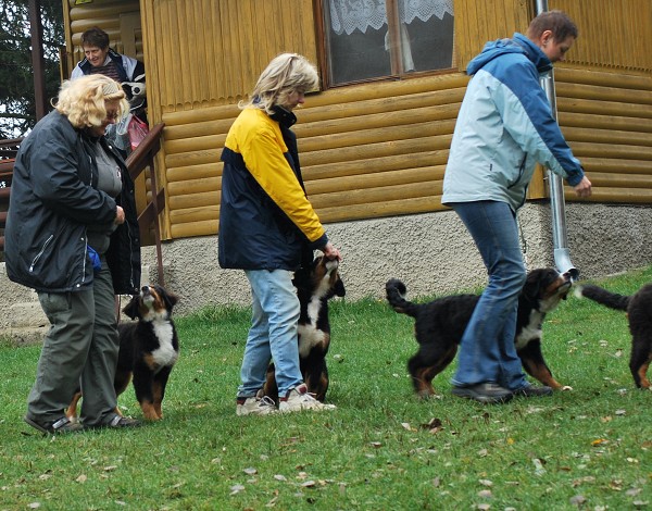 Podzim. víkend - úterý 28. 10. 2008