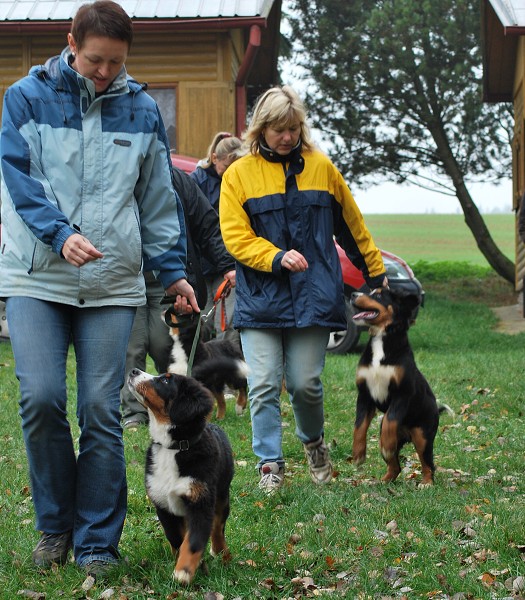 Podzim. víkend - úterý 28. 10. 2008