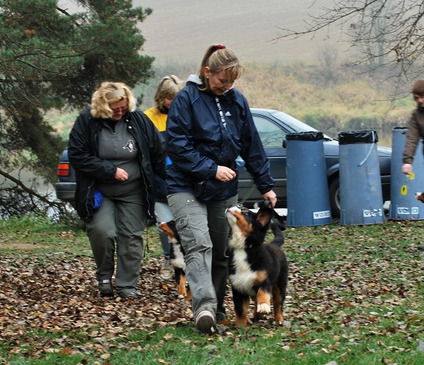Podzim. víkend - úterý 28. 10. 2008