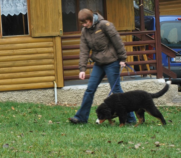 Podzim. víkend - úterý 28. 10. 2008