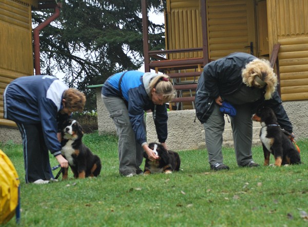 Podzim. víkend - úterý 28. 10. 2008