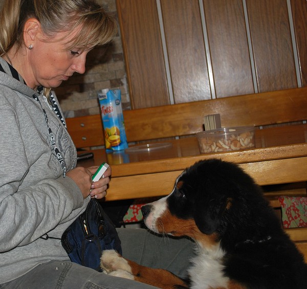 Podzim. víkend - úterý 28. 10. 2008