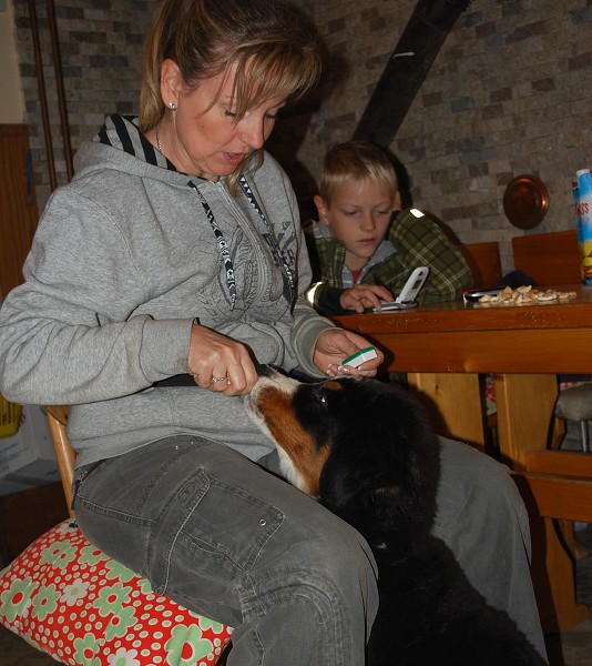 Podzim. víkend - úterý 28. 10. 2008