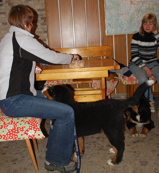 Podzim. víkend - úterý 28. 10. 2008