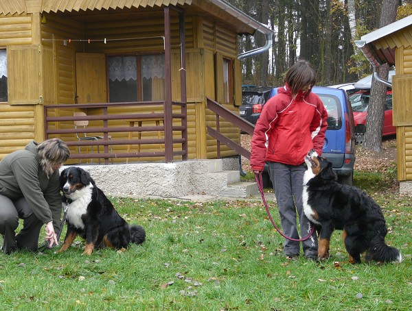 Podzim. víkend - úterý 28. 10. 2008