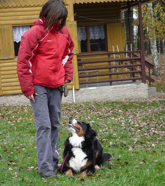 Podzim. víkend - úterý 28. 10. 2008