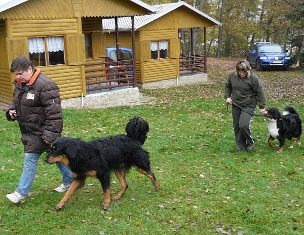 Podzim. víkend - úterý 28. 10. 2008